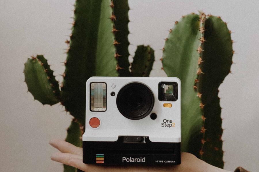 Everything about the Instagram Creator Studio