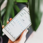 Instamber.Com Review, Features, Pricing And Is It Good For Instagram Growth