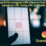 What Is My Instagram URL? How to Find Your Instagram URL Using a PC or Mobile