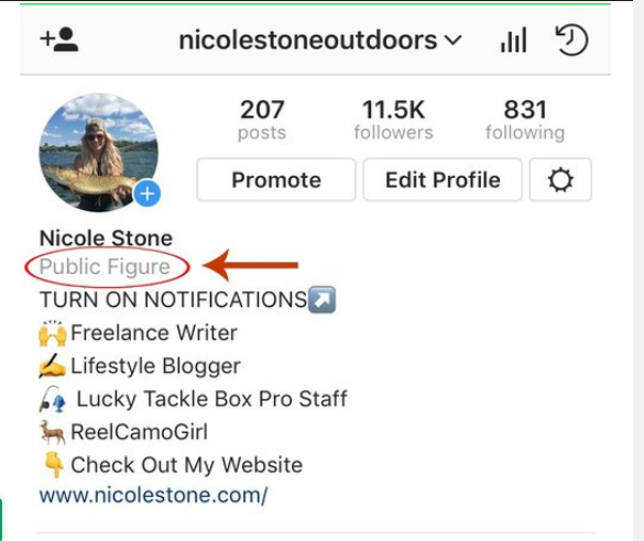 How To Become A Public Figure On Instagram